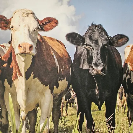 Bergblick Mit Balkon Und Garten - Familienfreundlich Heringhausen